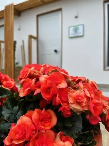 Casa de hóspedes Garden