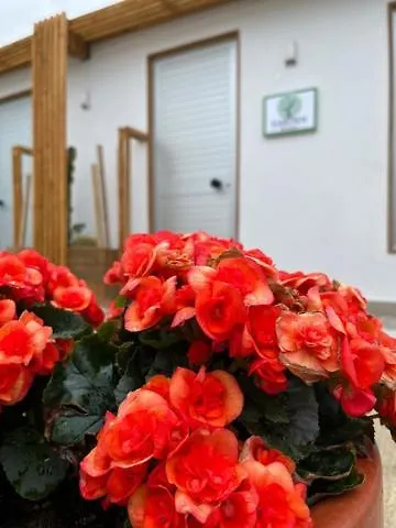 Garden Casa de hóspedes